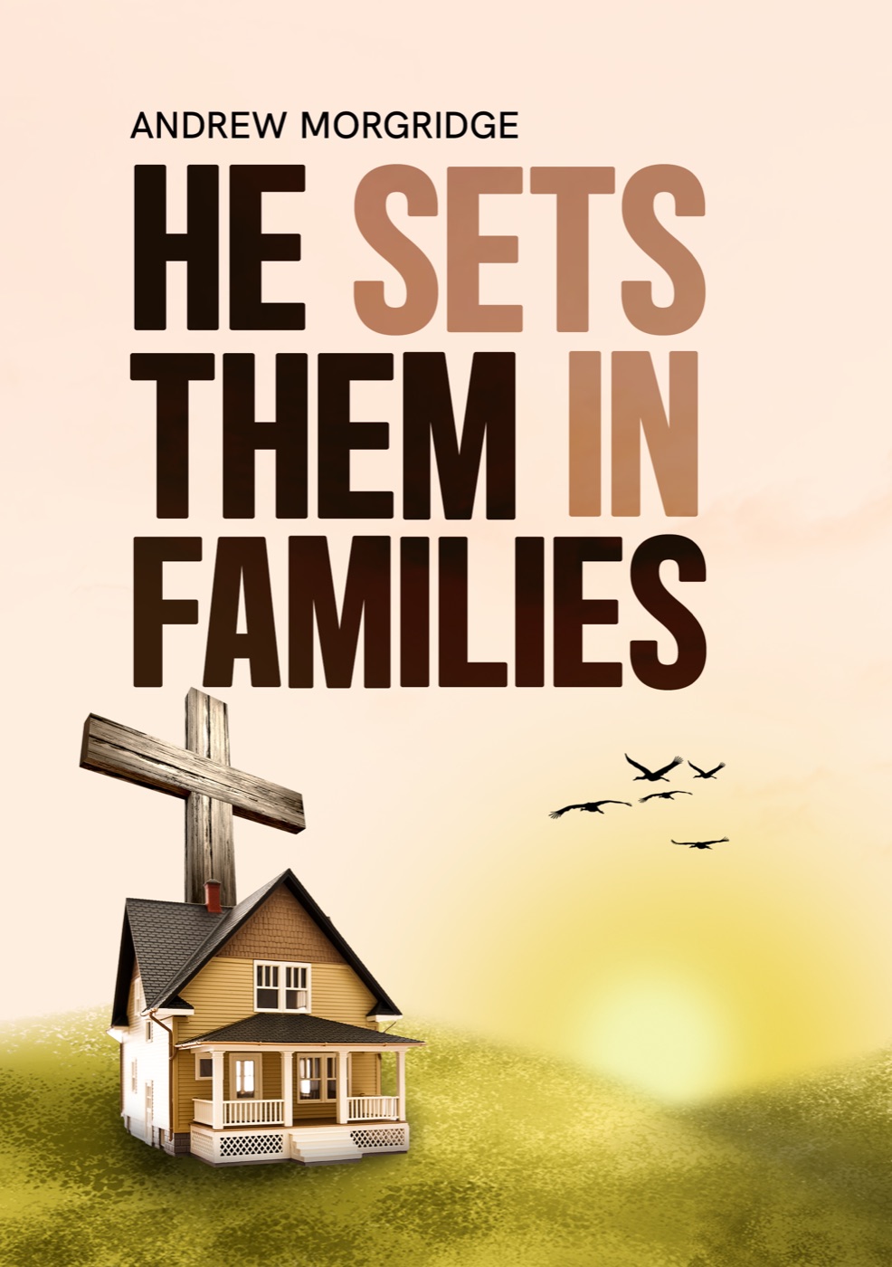 He Set Them In Families — front cover